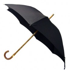 Brigg Regenschirm